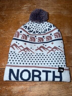 TNF BEANIE Sky blue baby blue and mauve color.  NWOT OSFM